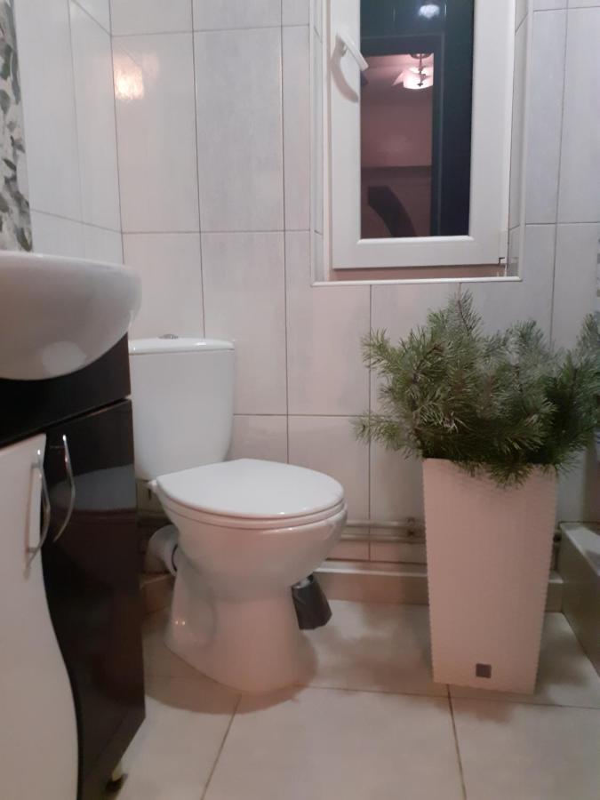 Guest House Viktoria Jaremcze Zewnętrze zdjęcie